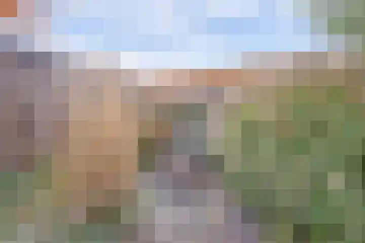 Chirurgijnsgilde 20 Dronten thumbnail 44