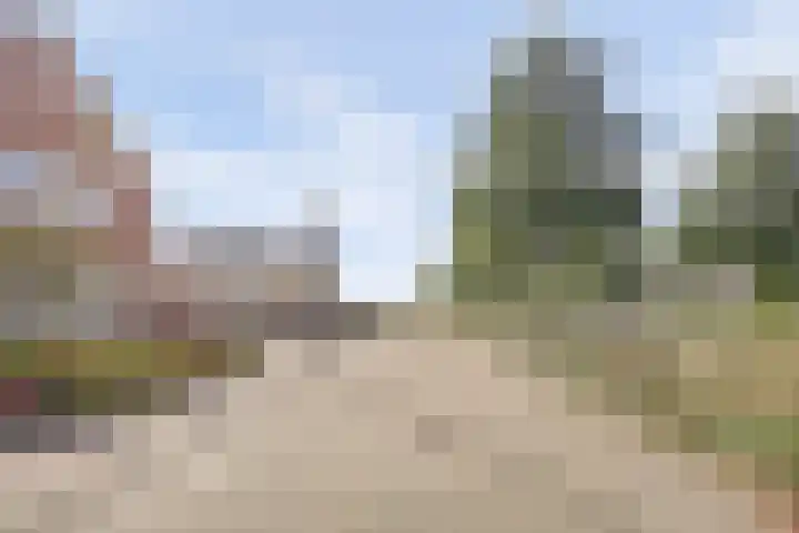 Chirurgijnsgilde 20 Dronten thumbnail 48