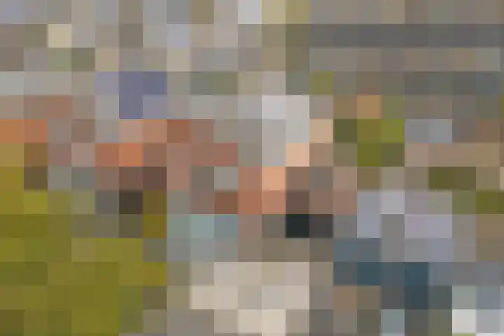 Chirurgijnsgilde 20 Dronten thumbnail 5