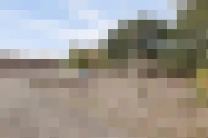 Chirurgijnsgilde 20 Dronten thumbnail 51