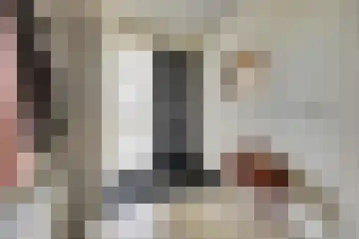 Chirurgijnsgilde 20 Dronten thumbnail 6