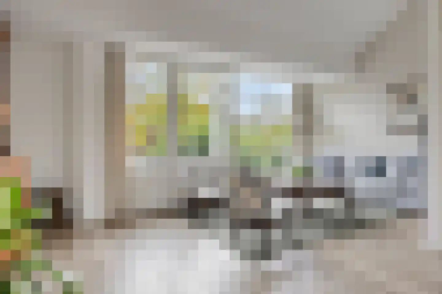 Chirurgijnsgilde 24 Amersfoort thumbnail 13