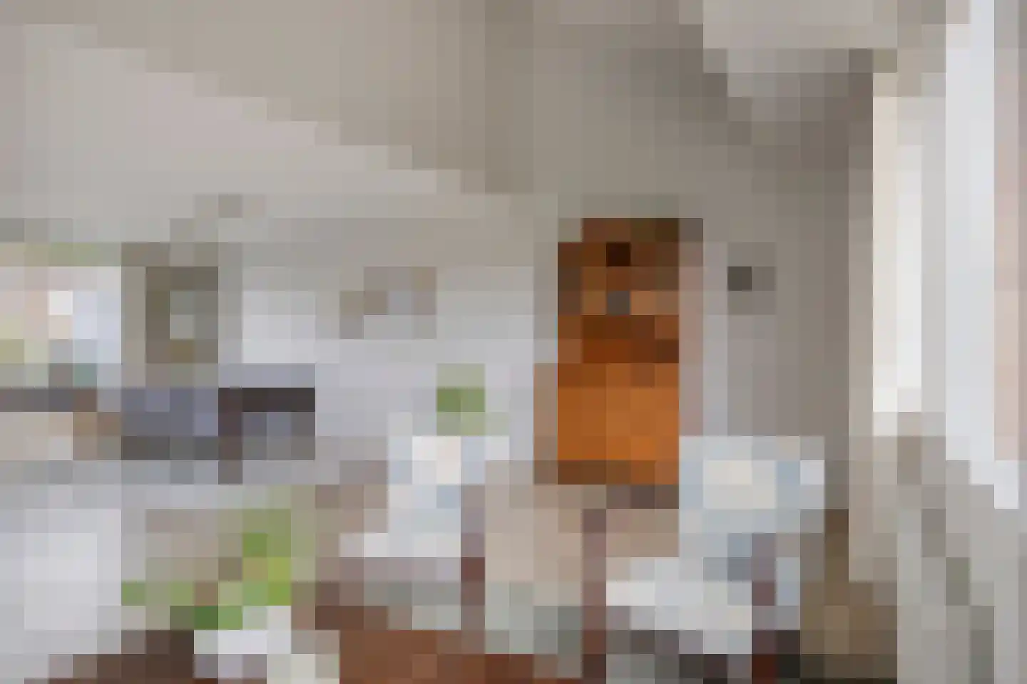 Chirurgijnsgilde 24 Amersfoort thumbnail 15
