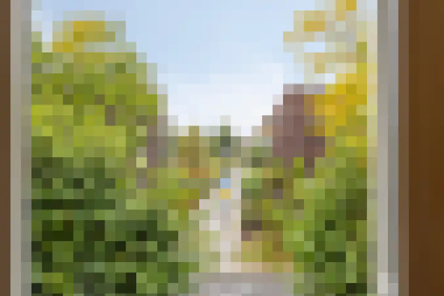 Chirurgijnsgilde 24 Amersfoort thumbnail 16