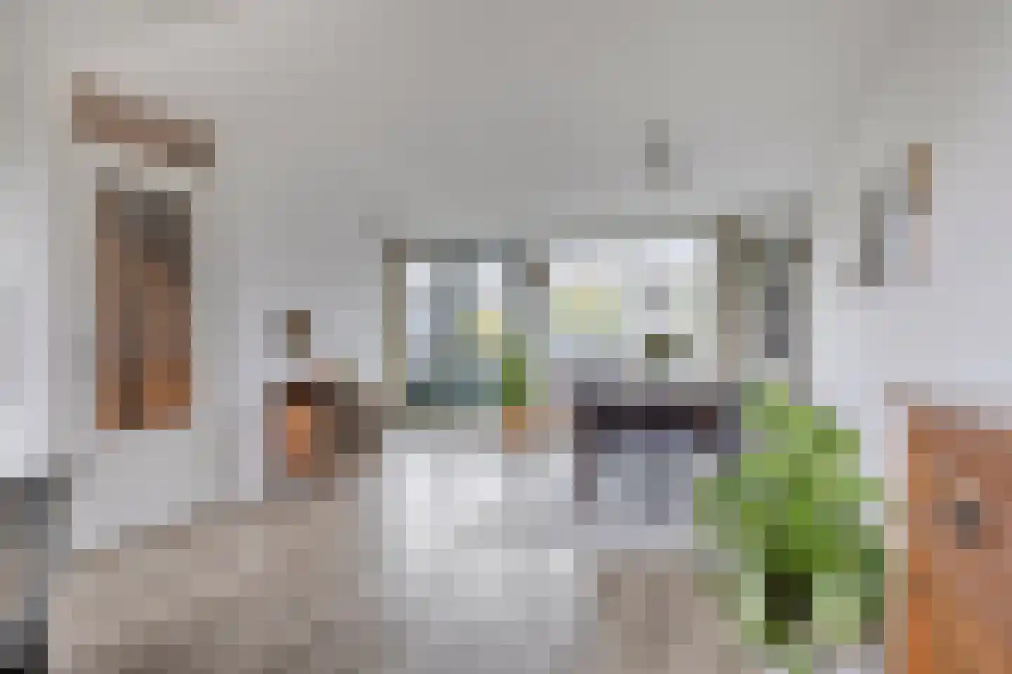 Chirurgijnsgilde 24 Amersfoort thumbnail 17