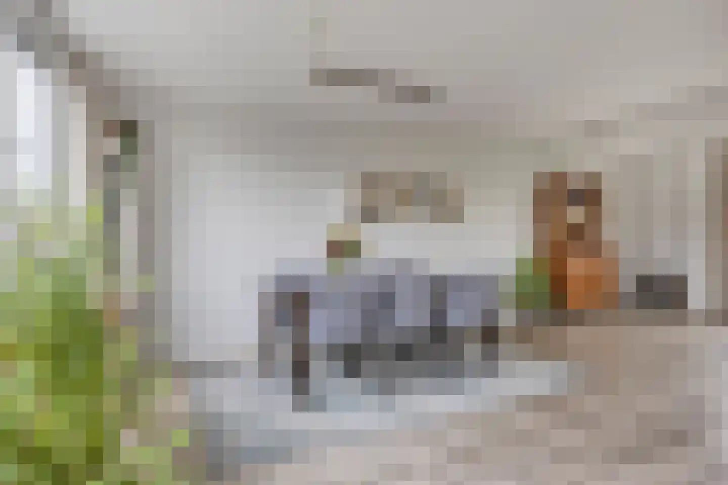 Chirurgijnsgilde 24 Amersfoort thumbnail 19