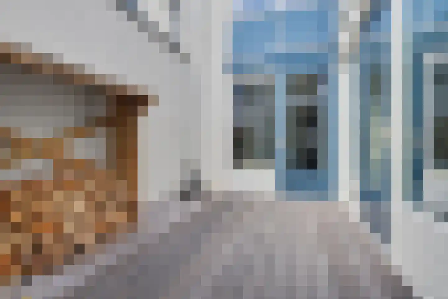 Chirurgijnsgilde 4 Amersfoort thumbnail 19