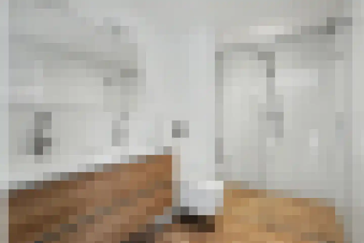 Chirurgijnsgilde 4 Amersfoort thumbnail 22