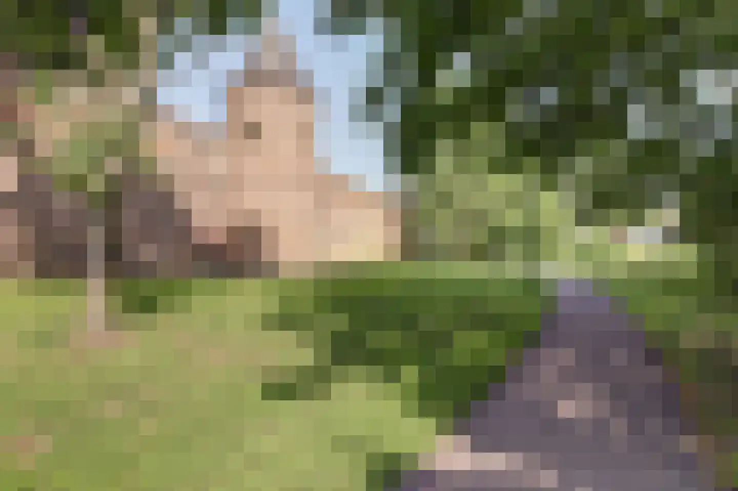 Chirurgijnsgilde 4 Amersfoort thumbnail 35