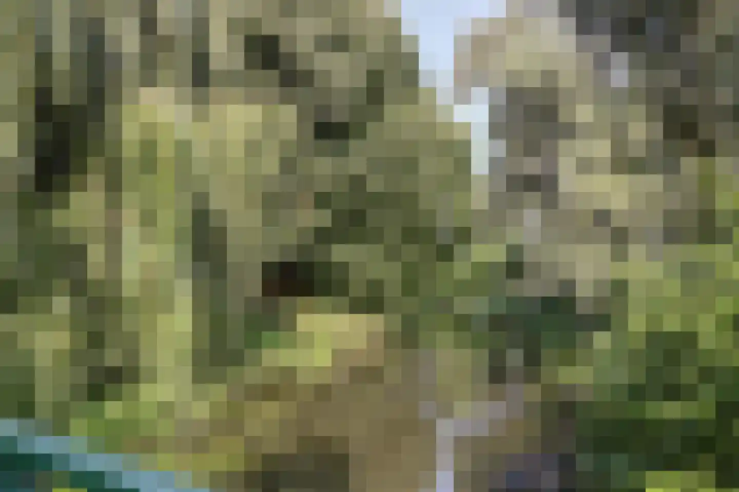 Chirurgijnsgilde 4 Amersfoort thumbnail 37