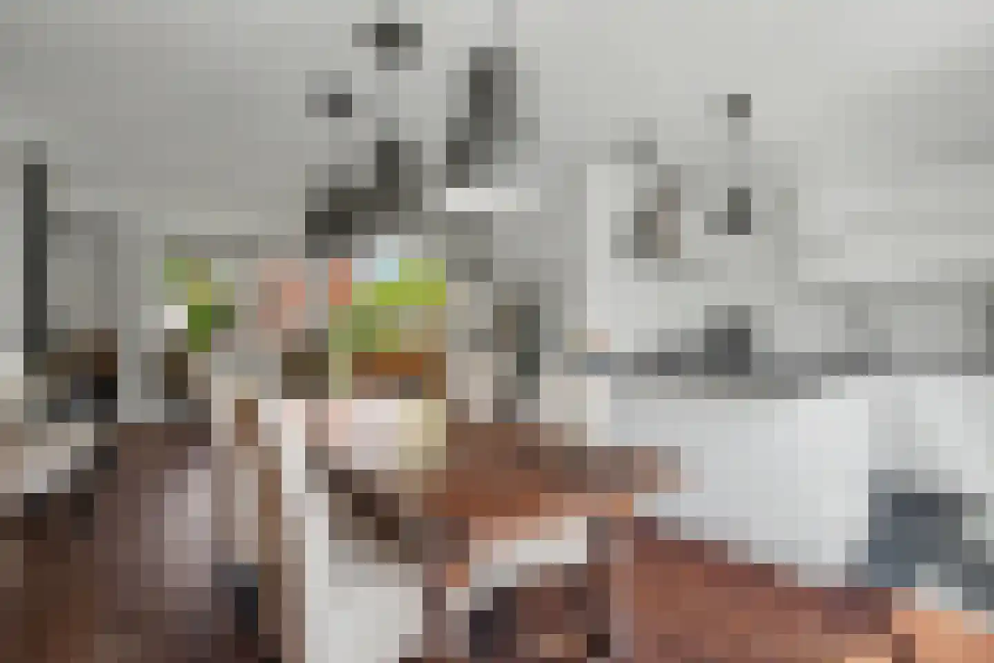 Chirurgijnsgilde 4 Amersfoort thumbnail 6