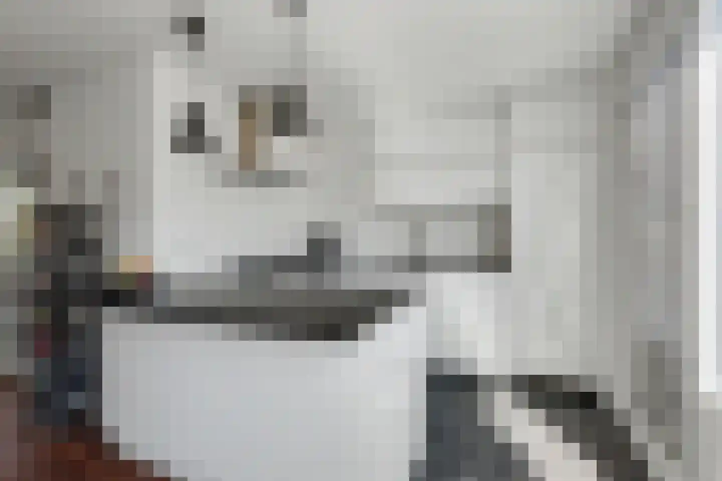 Chirurgijnsgilde 4 Amersfoort thumbnail 9