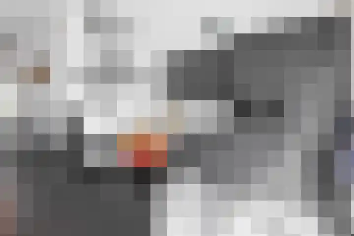 Chirurgijnsgilde 50 Amersfoort thumbnail 16