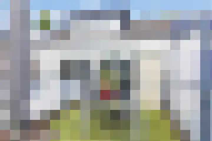 Chirurgijnsgilde 50 Amersfoort thumbnail 21
