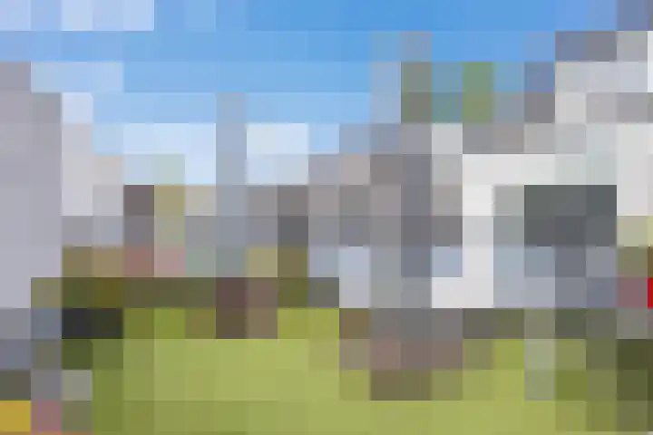 Chirurgijnsgilde 50 Amersfoort thumbnail 22