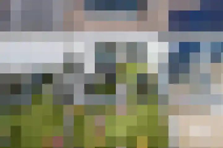 Chirurgijnsgilde 50 Amersfoort thumbnail 24