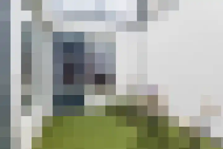 Chirurgijnsgilde 50 Amersfoort thumbnail 29