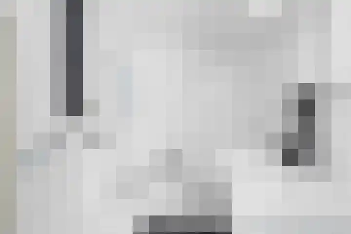 Chirurgijnsgilde 50 Amersfoort thumbnail 33