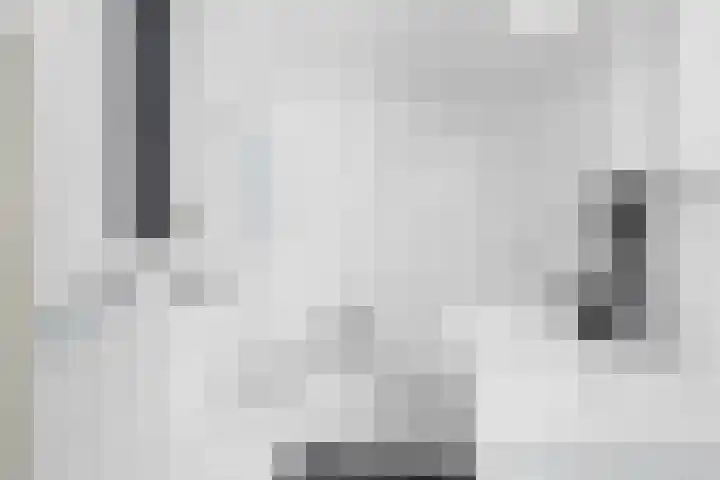 Chirurgijnsgilde 50 Amersfoort thumbnail 4