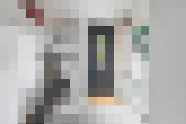 Chirurgijnsgilde 50 Amersfoort thumbnail 45