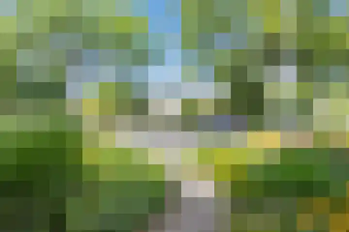 Chirurgijnsgilde 50 Amersfoort thumbnail 46