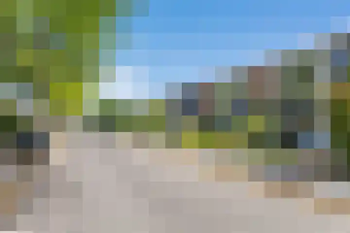 Chirurgijnsgilde 50 Amersfoort thumbnail 47
