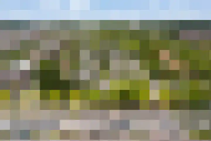 Chirurgijnsgilde 50 Amersfoort thumbnail 49