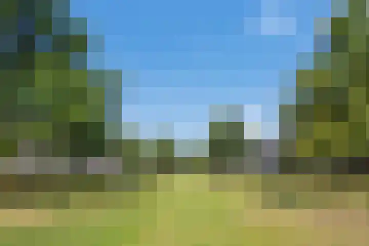 Chirurgijnsgilde 50 Amersfoort thumbnail 50