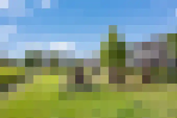 Chirurgijnsgilde 50 Amersfoort thumbnail 51