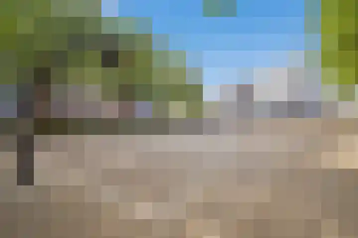 Chirurgijnsgilde 50 Amersfoort thumbnail 52