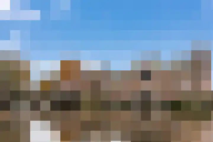 Chirurgijnsgilde 50 Amersfoort thumbnail 55
