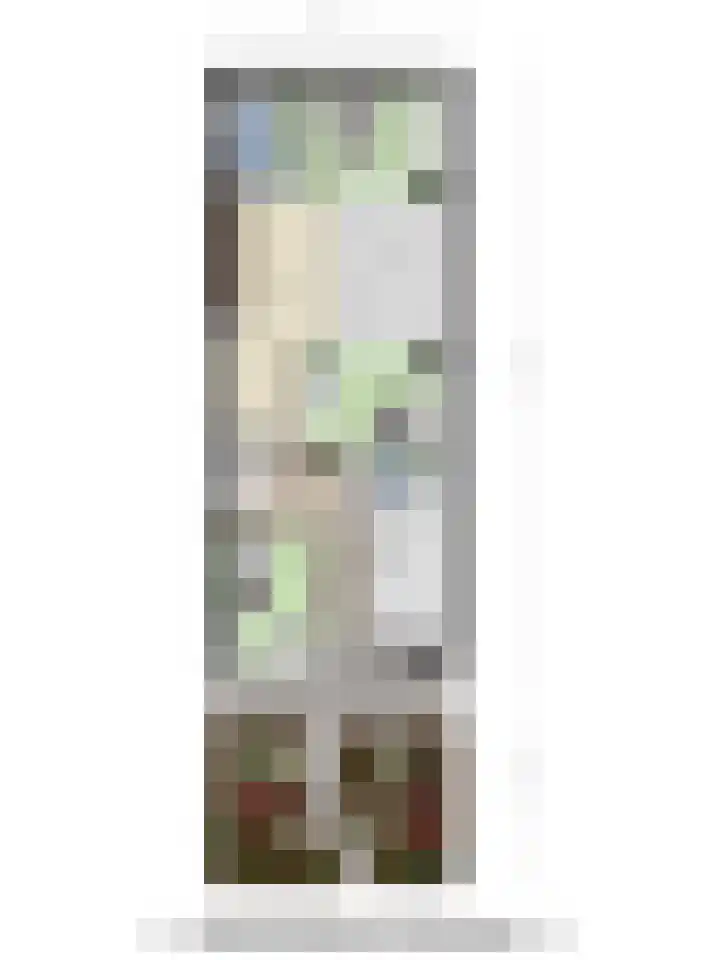 Chirurgijnsgilde 50 Amersfoort thumbnail 57