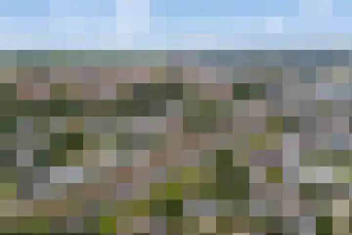 Chirurgijnsgilde 50 Amersfoort thumbnail 6