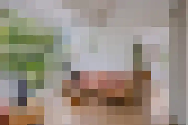 Chirurgijnsgilde 68 Amersfoort thumbnail 22