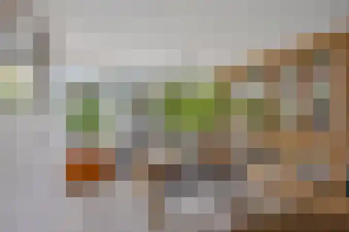 Chirurgijnsgilde 68 Amersfoort thumbnail 23