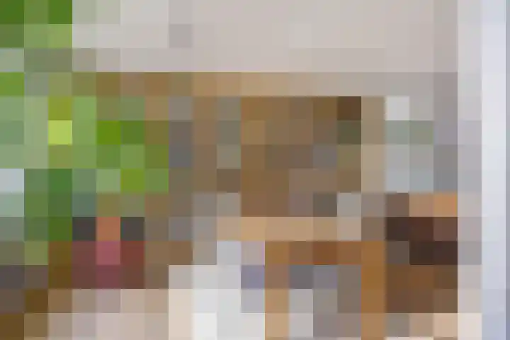 Chirurgijnsgilde 68 Amersfoort thumbnail 24