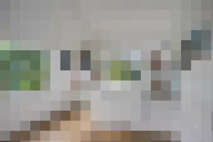 Chirurgijnsgilde 68 Amersfoort thumbnail 28