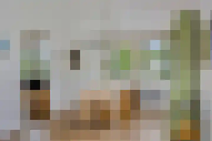 Chirurgijnsgilde 68 Amersfoort thumbnail 29