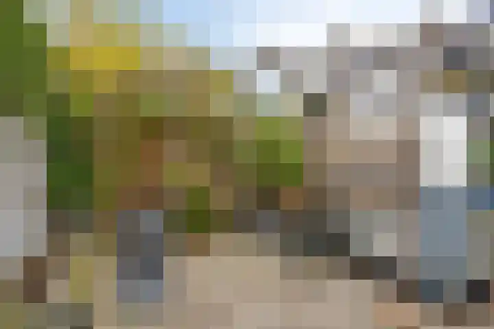 Chirurgijnsgilde 68 Amersfoort thumbnail 32
