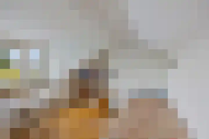 Chirurgijnsgilde 68 Amersfoort thumbnail 34