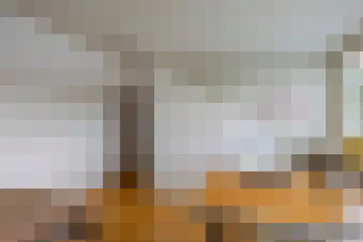 Chirurgijnsgilde 68 Amersfoort thumbnail 35