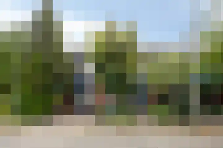 Chirurgijnsgilde 68 Amersfoort thumbnail 42
