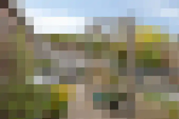 Chirurgijnsgilde 68 Amersfoort thumbnail 5
