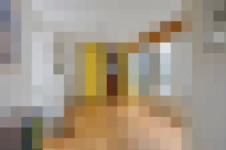 Chirurgijnsgilde 68 Amersfoort thumbnail 8