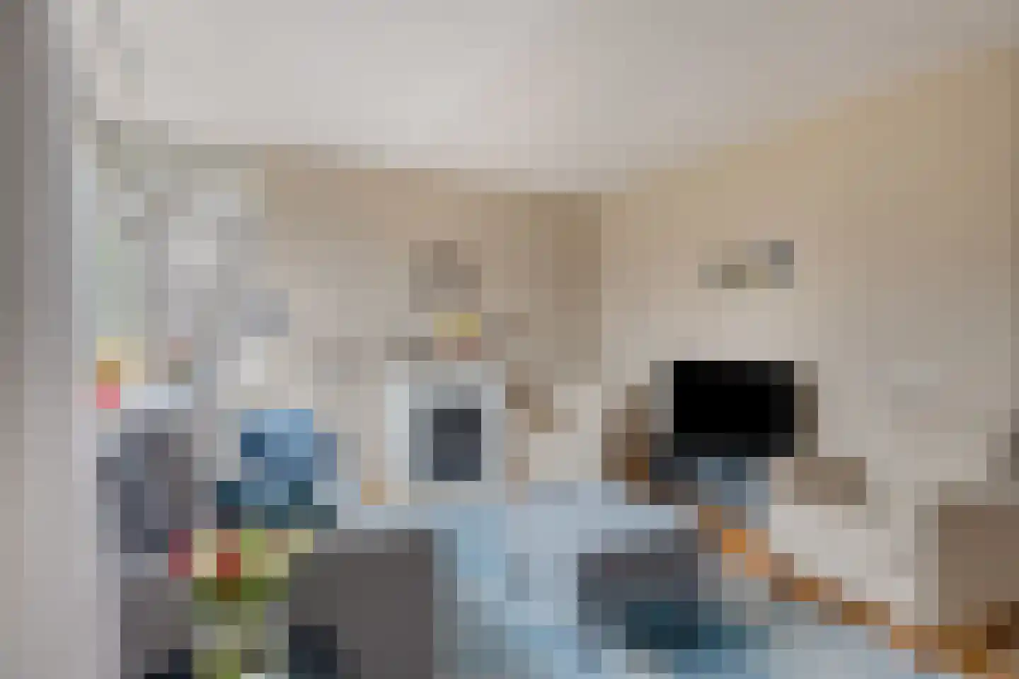Chirurgijnslaan 22 Oudenbosch thumbnail 10