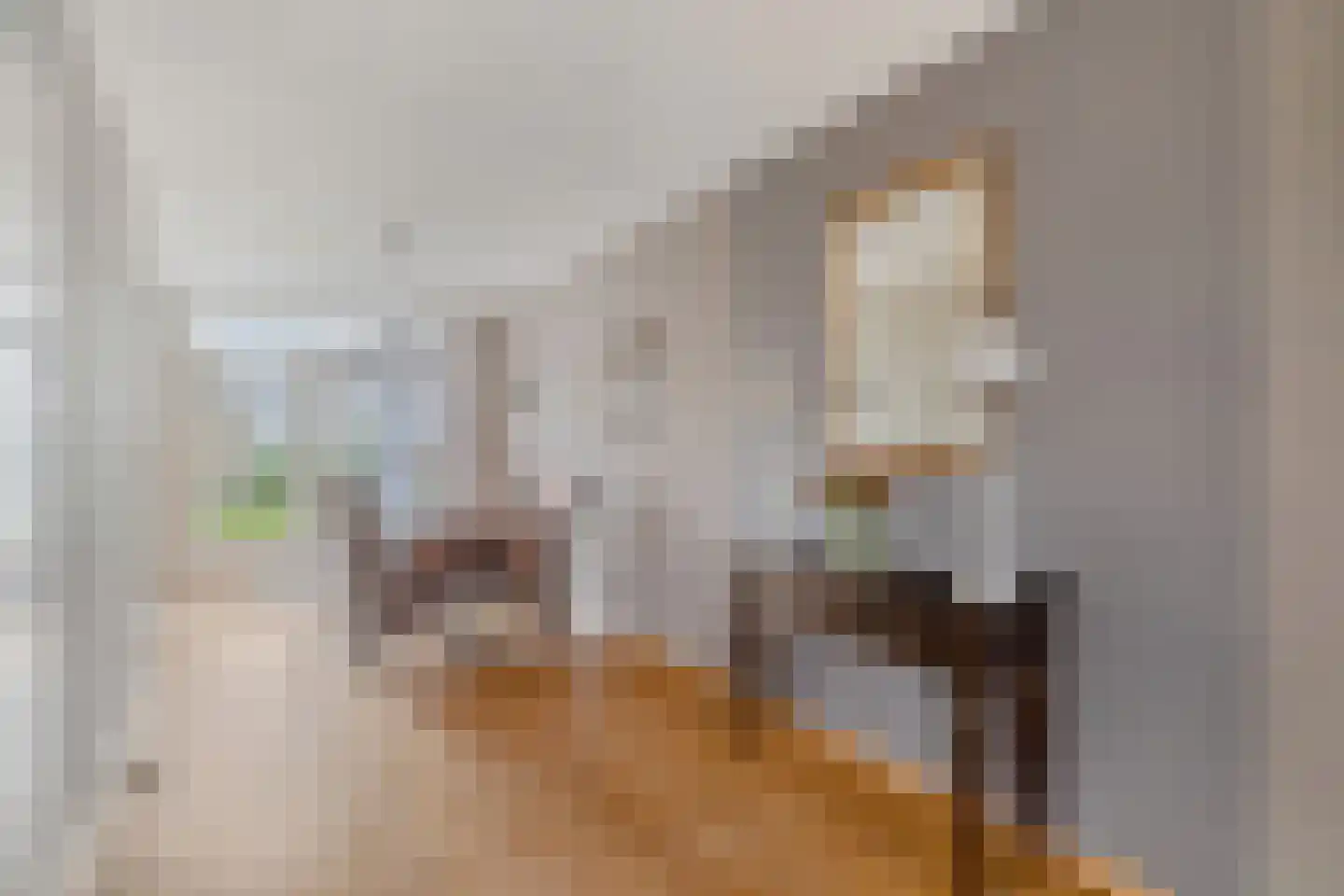 Chirurgijnslaan 22 Oudenbosch thumbnail 11