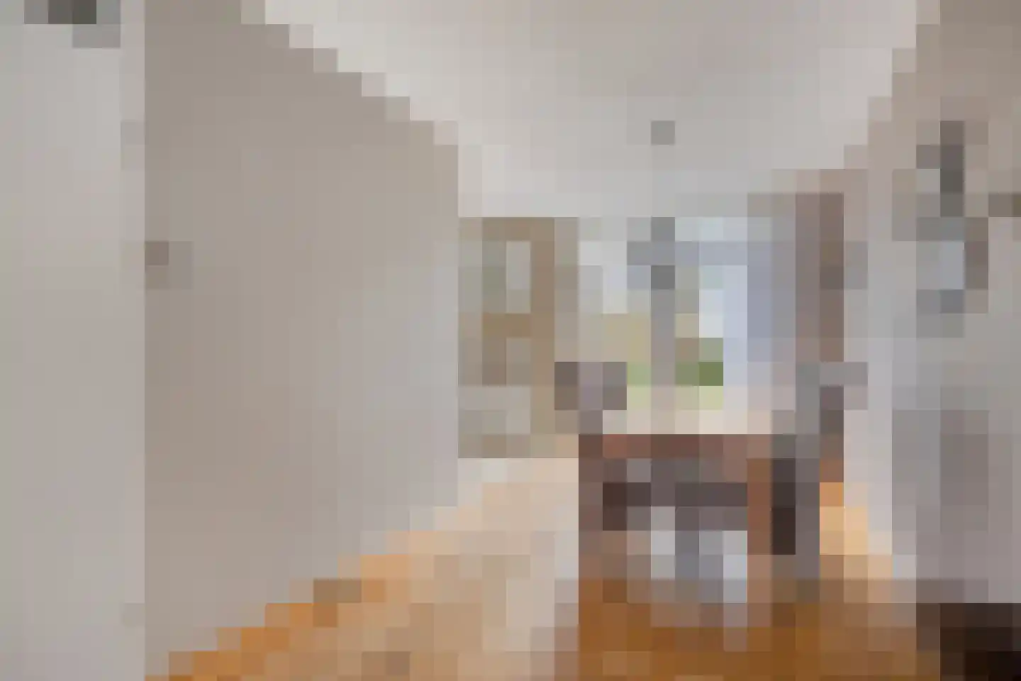 Chirurgijnslaan 22 Oudenbosch thumbnail 13