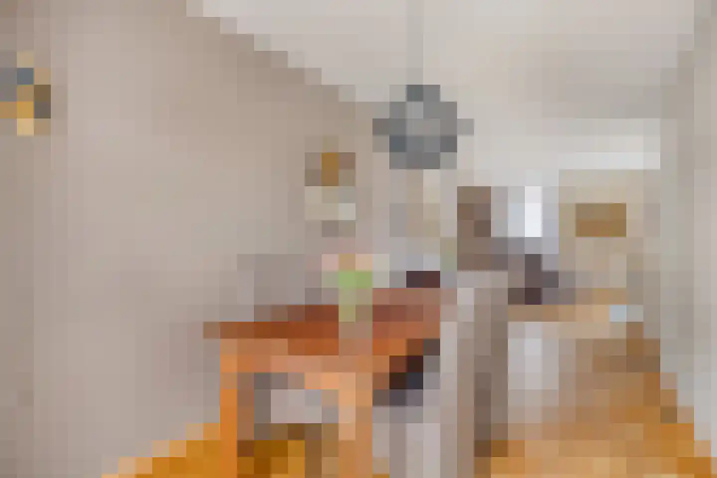 Chirurgijnslaan 22 Oudenbosch thumbnail 14