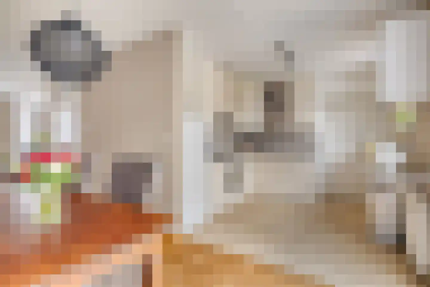 Chirurgijnslaan 22 Oudenbosch thumbnail 15