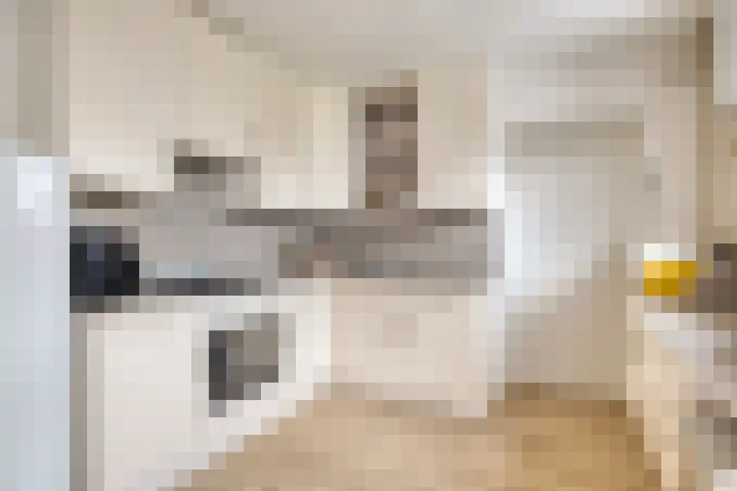 Chirurgijnslaan 22 Oudenbosch thumbnail 16